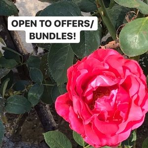 🌺OFFERS ON ALL ITEMS WELCOME!💫